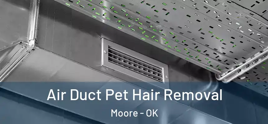  Air Duct Pet Hair Removal Moore - OK
