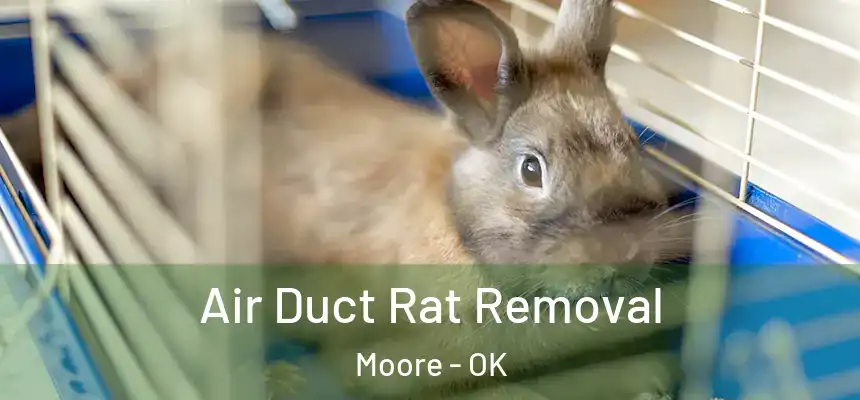  Air Duct Rat Removal Moore - OK
