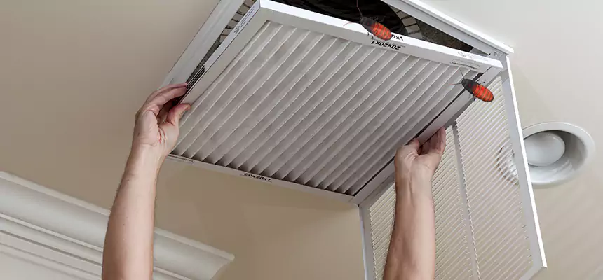 Preventive Cockroach-Proofing for Ducts in Moore