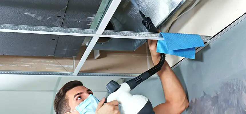 Our Air Duct Rodent Removal Services in Moore, OK