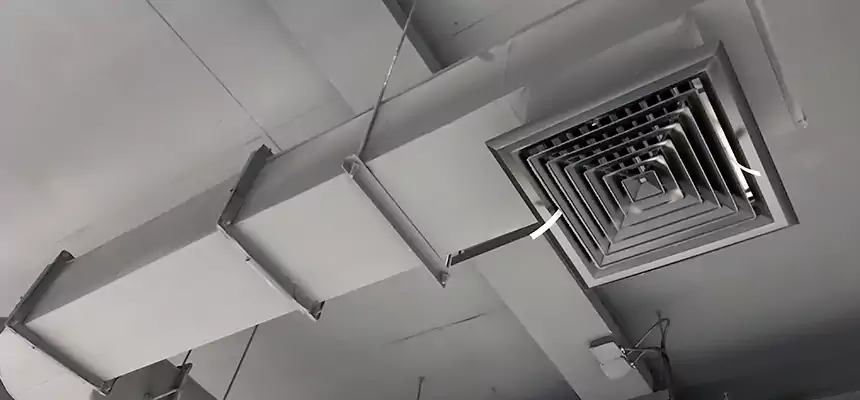 Our Pest Removal From Ducts Services in Moore, OK