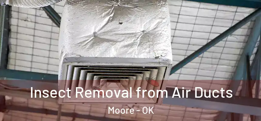  Insect Removal from Air Ducts Moore - OK