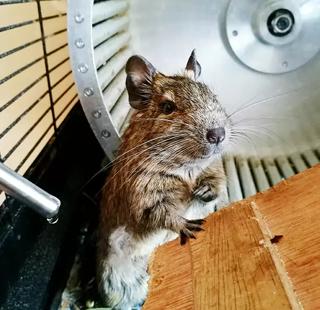 Why Homeowners & Businesses Trust Us Moore, OK?